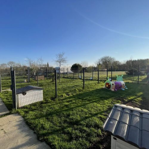 Pension canine dans la manche #6