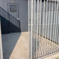 Pension canine dans la manche #2