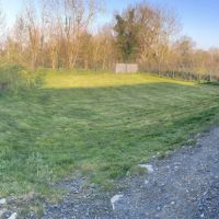 Pension canine dans la manche #3