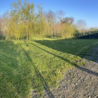 Pension canine dans la manche