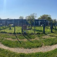 Pension canine dans la manche #5