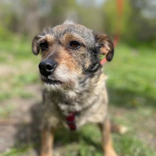 Felice se trouve dans un refuge en ukraine #2