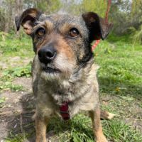 Felice se trouve dans un refuge en ukraine #1