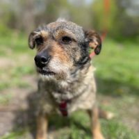 Felice se trouve dans un refuge en ukraine #2