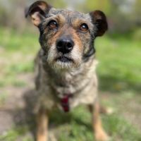 Felice se trouve dans un refuge en ukraine