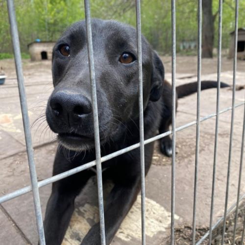 Nicka se trouve dans un refuge en ukraine #3