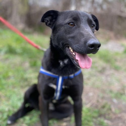 Nicka se trouve dans un refuge en ukraine #5