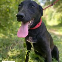 Nicka se trouve dans un refuge en ukraine