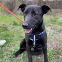 Nicka se trouve dans un refuge en ukraine #2