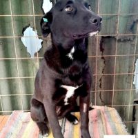 Nicka se trouve dans un refuge en ukraine #4