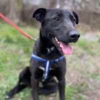 Nicka se trouve dans un refuge en ukraine #5