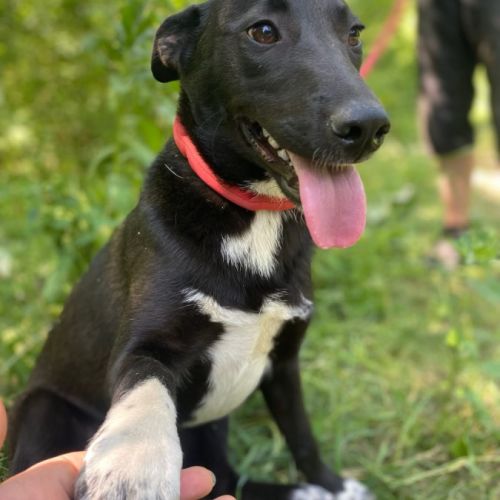 Nuage se trouve dans un refuge en ukraine #1