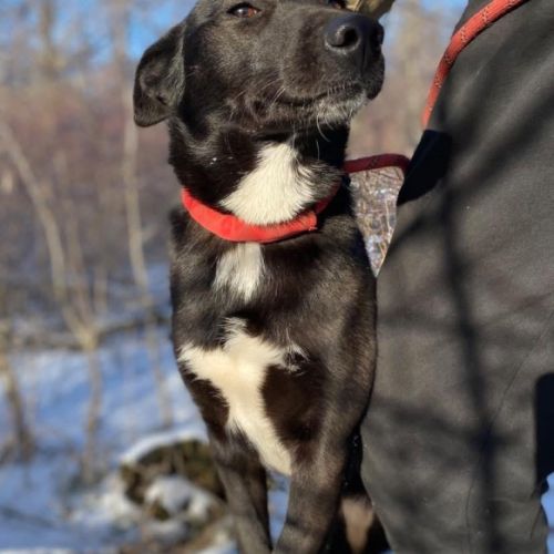 Nuage se trouve dans un refuge en ukraine #2