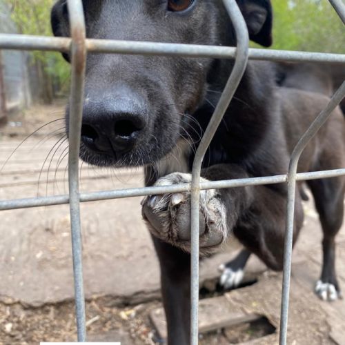 Nuage se trouve dans un refuge en ukraine #5