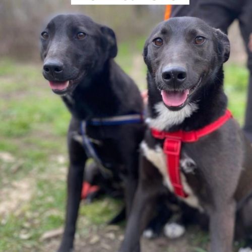 Nuage se trouve dans un refuge en ukraine #6