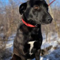 Nuage se trouve dans un refuge en ukraine #3