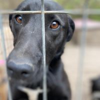 Nuage se trouve dans un refuge en ukraine