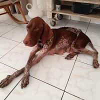 Kiara, la douce amie #2