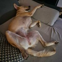 Suzie la belle et douce louloute #6