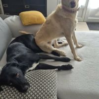 Suzie la belle et douce louloute #7