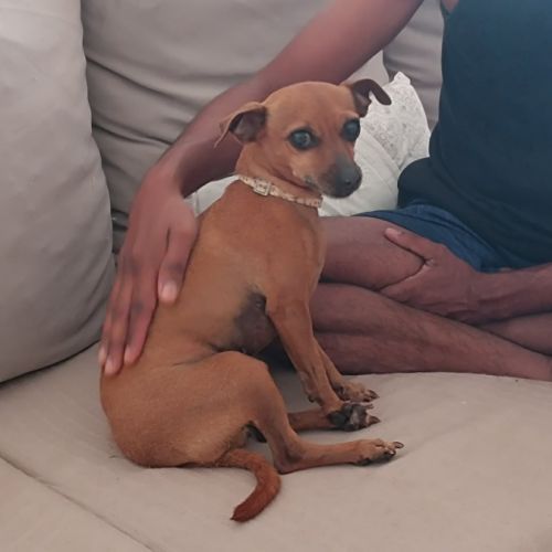 Roxy la mamie coquine