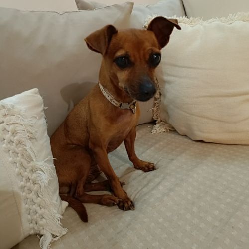 Roxy la mamie coquine #3