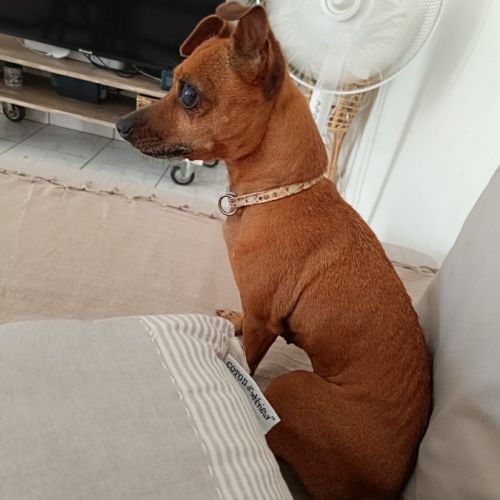 Roxy la mamie coquine #5