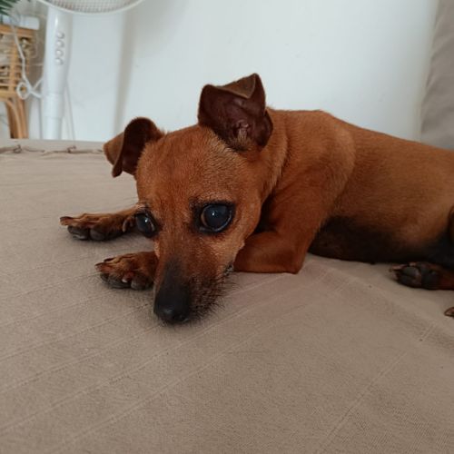 Roxy la mamie coquine #6