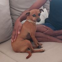 Roxy la mamie coquine