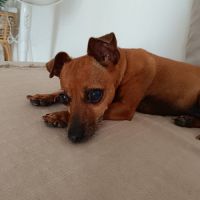 Roxy la mamie coquine #6