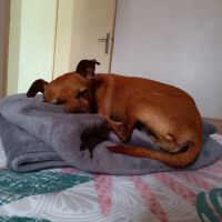 Roxy la mamie coquine #8