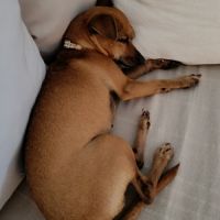 Roxy la mamie coquine #9