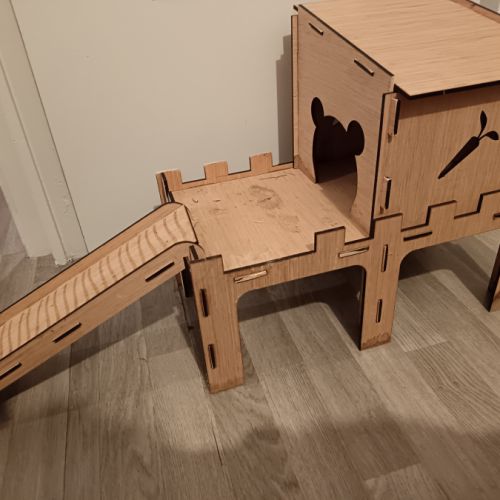 Donne cochons d'inde mâles nés en 2026 #6