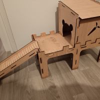 Donne cochons d'inde mâles nés en 2026 #6