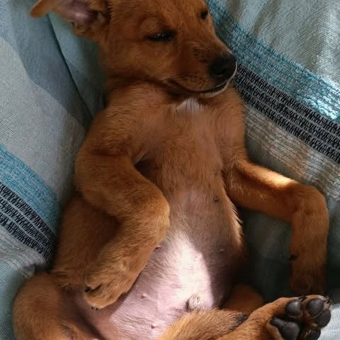 Milo le beau gosse #1
