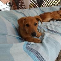 Milo le beau gosse #3