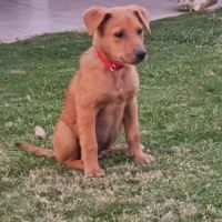 Milo le beau gosse #6