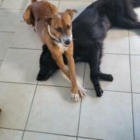 Aloka le beau gosse créole #2