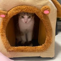 Louna une jolie minette qui vous fera fondre #1