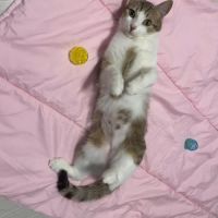 Louna une jolie minette qui vous fera fondre