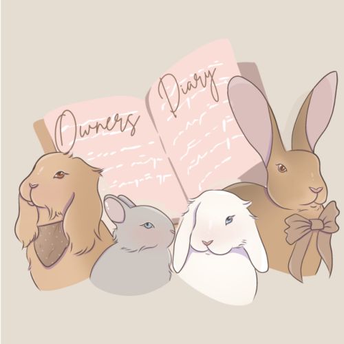 Lapin de compagnie #0