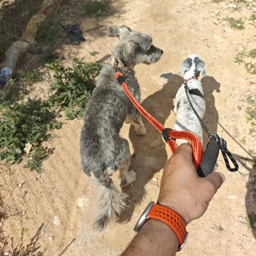 Carla 6 ans, un amour de petite chienne #7