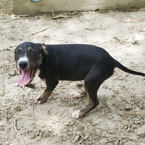 Darwin un adorable petit garçon #1