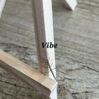 Bébé phasmes bâtons #2