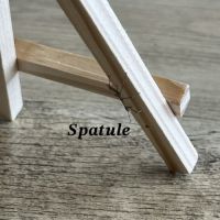 Bébés phasmes bâtons #3