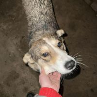 Hope, a survécu au pire, à l'adoption #0