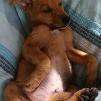 Youpi, vif et curieux #2