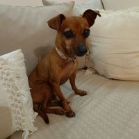 Roxy la mamie coquine