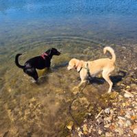 Suzie la belle et douce louloute #3