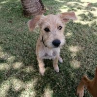 Noisette la joie de vivre #3